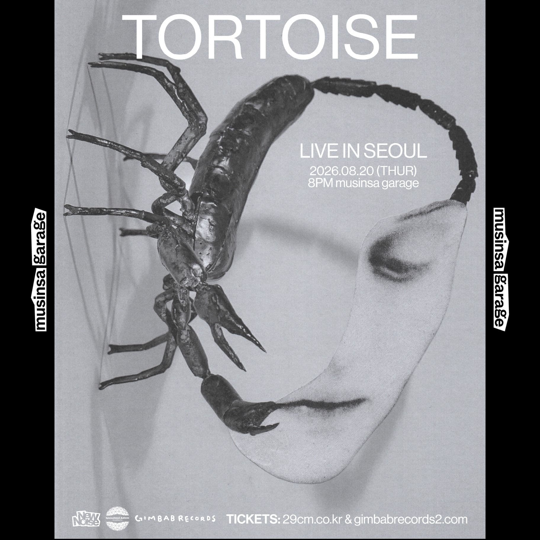 Tortoise Live in Seoul